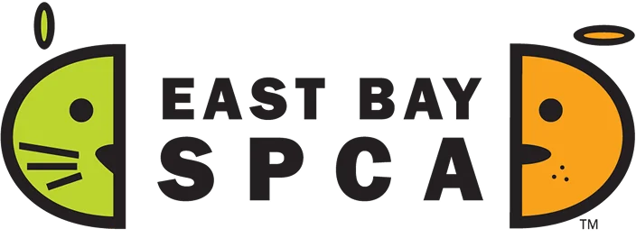 Logo Item